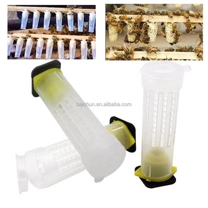 Kit d'élevage de reines d'abeilles, système d'apiculture pour ferme apicole, cages à reines en plastique - Product Image 4