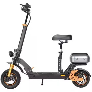 Trottinette électrique 800W 48V avec batterie au lithium, pliable avec siège, modèle portable pour adultes - Product Image 1