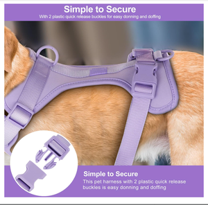 Kingtale <span class=keywords><strong>Pet</strong></span> <span class=keywords><strong>Supplies</strong></span> Impermeable PVC Sin Tirones Arnés Ligero Perro Correa <span class=keywords><strong>Collar</strong></span> - Product Image 2