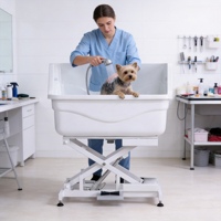 Baignoire de toilettage pour animaux de compagnie en acrylique durable, électrique et relevable, blanche, BTF-90E
