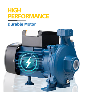 Pompe centrifuge à haute pression automatique <span class=keywords><strong>BLUESEA</strong></span> pour l'irrigation, 1 CV, pour la maison - Product Image 2