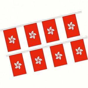 ขายส่งธงประดับตกแต่งคุณภาพพรีเมียม ฉลองวันที่ส่งมอบฮ่องกงกลับสู่คฤหาสน์บ้าน 26 ปี ตั้งแต่วันรับคืนฮ่องกง - Product Image 2