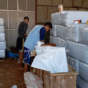 Professional Cocopeat <b>Polybag</b> with Excellent Moisture Retention for Agriculture Horticulture and Nurseries - Product Image 6