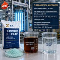 Sulfato de Hierro Monohidratado 91% con Alto Contenido de Hierro 30% Fe, Suplemento Rentable