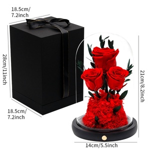 Fleur Éternelle Sansheng III, Roses Naturelles Conservées, Petit Prince sous Cloche en Verre, Longue Durée, Décoration de Table, Noël, Saint-Valentin - Product Image 3
