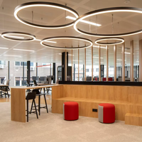 Lustre suspendu en acier à cercle central, 20W 40W 60W, luminaire LED linéaire rond