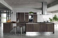 Panneau de porte de meuble de cuisine modulaire moderne en acier inoxydable ignifuge et écologique avec évier et étagère de rangement à charnières