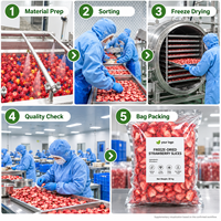Halal Bulk Gedroogde Aardbeienplakjes 10kg Kant-en-klaar Gedroogd Fruit 24 Maanden Houdbaarheid OEM/ODM Beschikbaar voor Groothandel