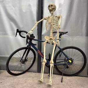 Squelette d'Halloween <span class=keywords><strong>de</strong></span> simulation humaine, accessoires <span class=keywords><strong>de</strong></span> décoration pour fête d'<span class=keywords><strong>horreur</strong></span>, squelette d'<span class=keywords><strong>horreur</strong></span>, enseignement <span class=keywords><strong>de</strong></span> <span class=keywords><strong>l</strong></span>'<span class=keywords><strong>anatomie</strong></span> humaine - Product Image 1