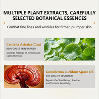 Thermalwasser Koreanische Hautpflegeprodukte mit Liposomalem NAD PDRN Fortschrittliches Reparatur-Gesichtstonikum Hautstraffend Glättend Anti-Aging Toner