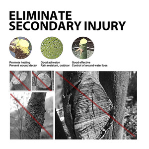 Pasta para Curar Heridas en Árboles, para Injertos y Podas, Protege a los Árboles de Plagas, Grietas y Podridones, Fórmula Natural de 100g - Product Image 4