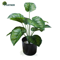 Mini plantes artificielles en pot Calathea mazoyana plantes artificielles avec Pots en plastique décoration de la maison