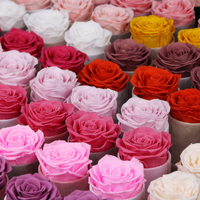 Gepersonaliseerde unieke islamitische Indiase fluwelen doos met eeuwigdurende planten, bloemen en rozen. Bruiloft- en feestcadeaus, gastengeschenken.
