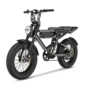 ZUMI OEM ODM China Factory's Customizable 1000W E-Bike Motor 25AH 48V Lithium All-Terrain Aluminum <b>Tube</b> E - Product Image 1