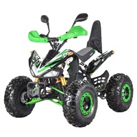Quad électrique 1000W, batterie au plomb-acide 20AH, châssis en acier, 3 vitesses, pour enfants, extérieur