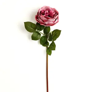 Alat peraga tampilan jendela bunga mawar musim gugur warna hijau mawar murah 2023 49cm untuk dekorasi pernikahan 49cm
