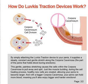Produits de sexe transfrontalier chaud mâle Traction pénienne et appareil d'étirement Support en métal Phallus Correction produits homme jouets - Product Image 3