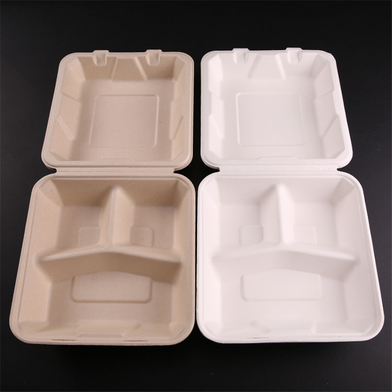 Biodegradable Clamshell Container Bento Box Double Layer