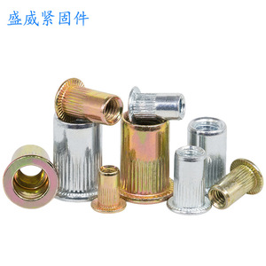 Écrous à riveter Shengwei M3-M12 en acier inoxydable 304, à tête plate, filetage interne, trou traversant, pour l'industrie de la construction - Product Image 2