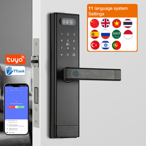 3D Yüz Tanıma Kapı Kilidi Tuya Wifi Elektronik Kulp Dijital Kilit Akıllı Kilitler Parmak İzi Anahtarlı Akıllı Kilit - Product Image 1