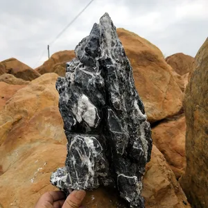 Dekorativer schwarzer Drache Qinglong Aquarium Stein Rock Drachens tein Seiryu Stein