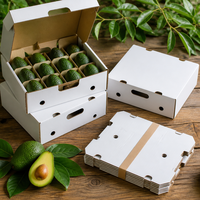 Witte gegolfde avocado-inlegbak met gestanste houders, op maat gemaakte fruitverpakking voor avocado-exporteurs groothandel