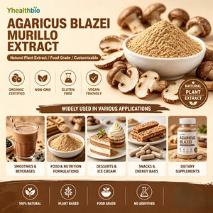 Extracto de <span class=keywords><strong>Agaricus</strong></span> Blazei Murill en Polvo 10:1 20:1, Calidad Estable para Fábricas de Procesamiento de Alimentos - Product Image 3