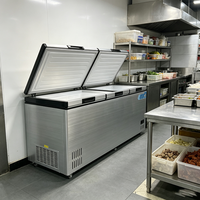 Congélateur horizontal 1010L pour supermarché, congélateur coffre à ouverture par le haut pour crème glacée, refroidissement direct, étagères réglables, R290