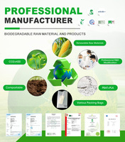 Emballage biodégradable personnalisé avec logo, sac plat compostable transparent pour accessoires de téléphone