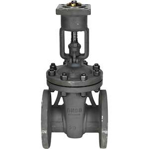 Vanne à opercule en acier au carbone DNOVA GAIR GVWR3434M-2W-F-OST 25 bars à brides électrique - Product Image 6