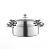 Marmite en acier inoxydable en alliage de titane, plus épaisse, avec deux poignées et couvercle en verre, 24 cm, pour cuisinière à gaz et plaque à induction