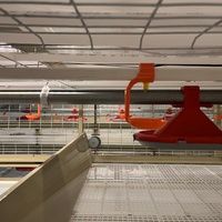 Cage d'élevage de poulets de chair à récolte automatique pour l'agriculture