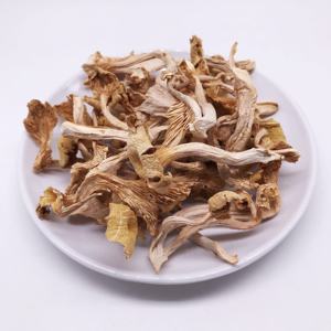 Оптовые поставки высококачественных натуральных сушеных желтых грибов лисичек (Cantarillus cibarius), необработанных, для промышленной переработки (AD) - Product Image 2