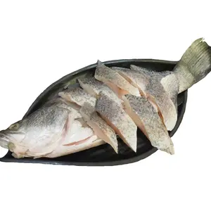 Gefrorener Barra mundi Silver Sea Barsch Fisch