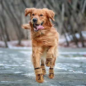 Luxury Outdoor Pet Non-slip Wholesale With Straps Silicone Snow Small Medium Big Dog Boots Shoes For Dogs