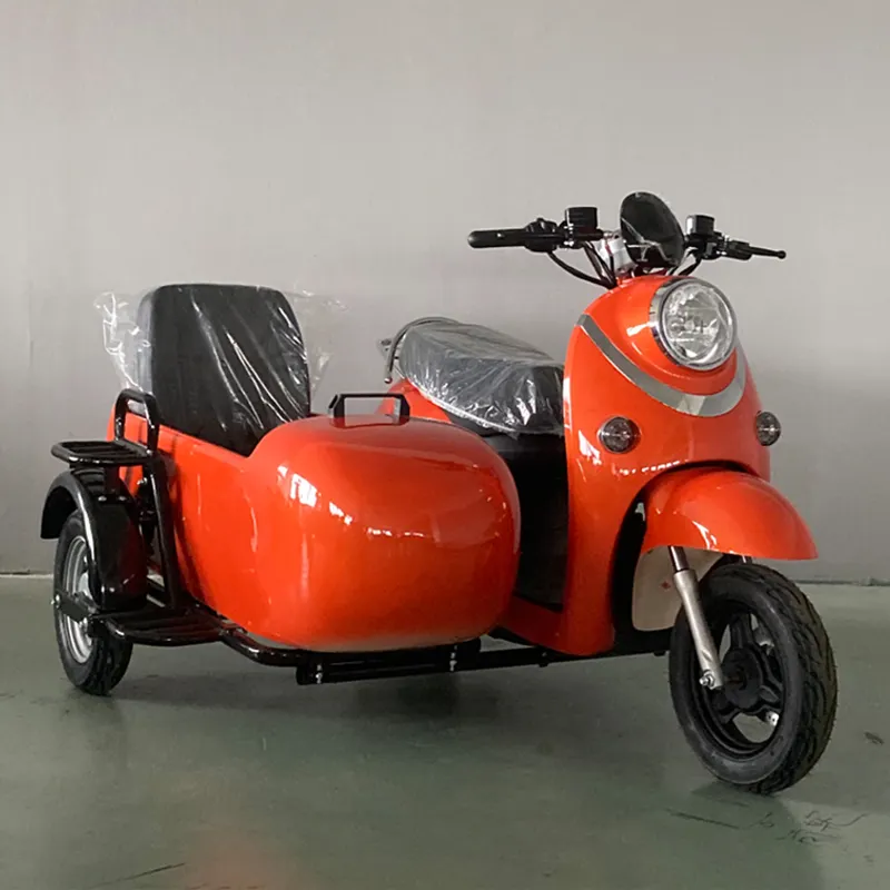 Tricicli elettrici di vendita caldi della motocicletta del sidecar di 3 ruote della fabbrica e possono prendere il sidecar cinese del motociclo degli animali domestici