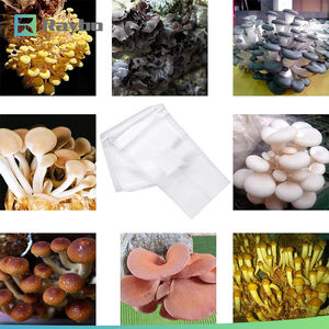 Мешок для выращивания грибов RAYBO 28x50 см из термостойкого прозрачного полипропилена с фильтрующей вставкой - Product Image 6