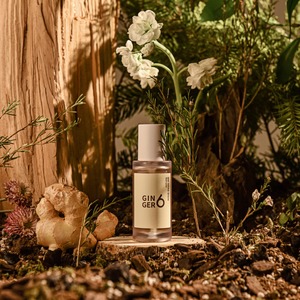 Sérum facial coréen Ginger6 anti-rides à la niacinamide et à l'acide hyaluronique avec des extraits naturels pour une peau éclatante - Product Image 6