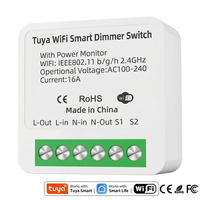 Télécommande intelligente pour la maison Prise en charge de la surveillance de l'énergie Alexa Google Mini Tuya WiFi Gradateur intelligent