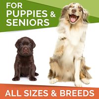 Vente à chaud de suppléments pour la peau et le pelage doux à mâcher pour chat OEM/ODM personnalisés Délicieux à mâcher pour une peau et des cheveux lisses