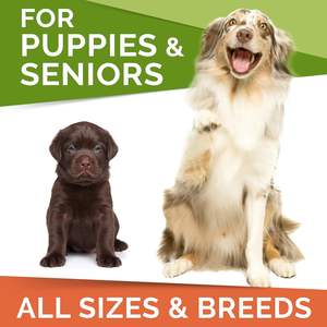 Suplementos de piel suave y abrigo para masticar gatos OEM/ODM personalizados superventas, deliciosos masticables rellenos para una piel y cabello suaves - Product Image 3