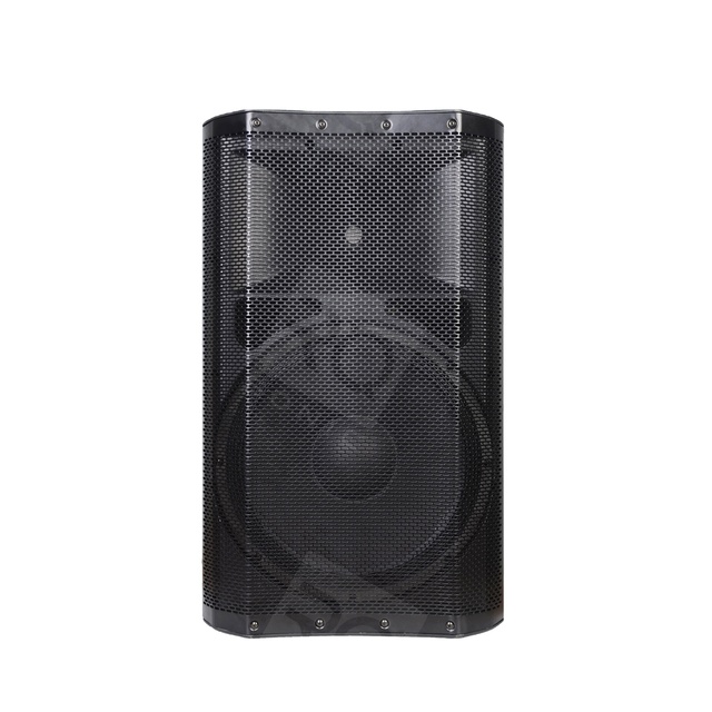 RQSONIC CAN15AP 15 Inch Professional Karaoke Profession Sound Studio Active Speakers with Wireless Microphone