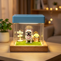 Caja Conmemorativa con Proyección Holográfica 3D para Mascotas, Interacción por Voz, Control Táctil, No Requiere Teléfono, Foto Personalizada Precargada