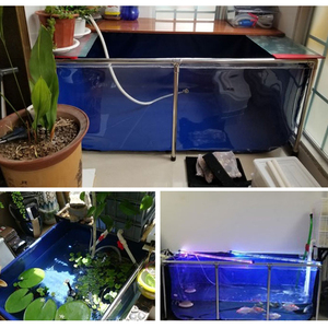 Bạt Bể Cá Bằng Vải Bạt Pvc Tùy Chỉnh Nhà Máy, Ao Cá Bằng Vải Bạt Trong Suốt - Product Image 3