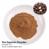 Poudre de saponine de thé 60 %, extrait de Camellia Oleifera, tensioactif naturel pour détergent et soins, saponine de thé en vrac 1 kg