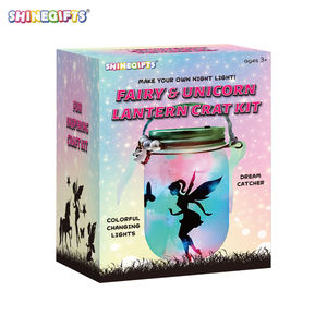 Neueste Spielzeug DIY Fairy Terrarium Kit Schnur lose Tisch lampe Dekoration <span class=keywords><strong>LED</strong></span> Laterne Nachtlicht Im Dunkeln leuchten Spielzeug für Zuhause - Product Image 6