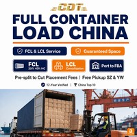 Transporte Marítimo DDP (Derechos Pagados, Impuestos Incluidos) de 30-35 Días de Plazo de Envío desde Yiwu a Países Bajos (NL) para Agente de Transporte de Carga en Palés Grandes
