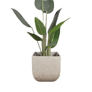 Macetas Ovaladas de Cemento Grandes para Jardín, Interiores y Exteriores - Product Image 6