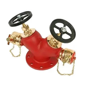 Baichuan 2.5 inch Cast iron Brass Indoor Outdoor types of Fire Hydrant Landing Valve for Fire Fighting with Coupling