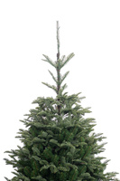 Décorations de Noël Treesmas, arbre de Noël artificiel sur pied de 72 pouces, 220 lumières, 581 pointes, PE/PVC/Métal, utilisation intérieure/extérieure
